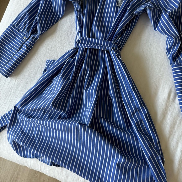 Zara pinstripe lace dress - Picture 4 of 4